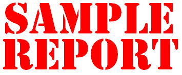 sample report icon